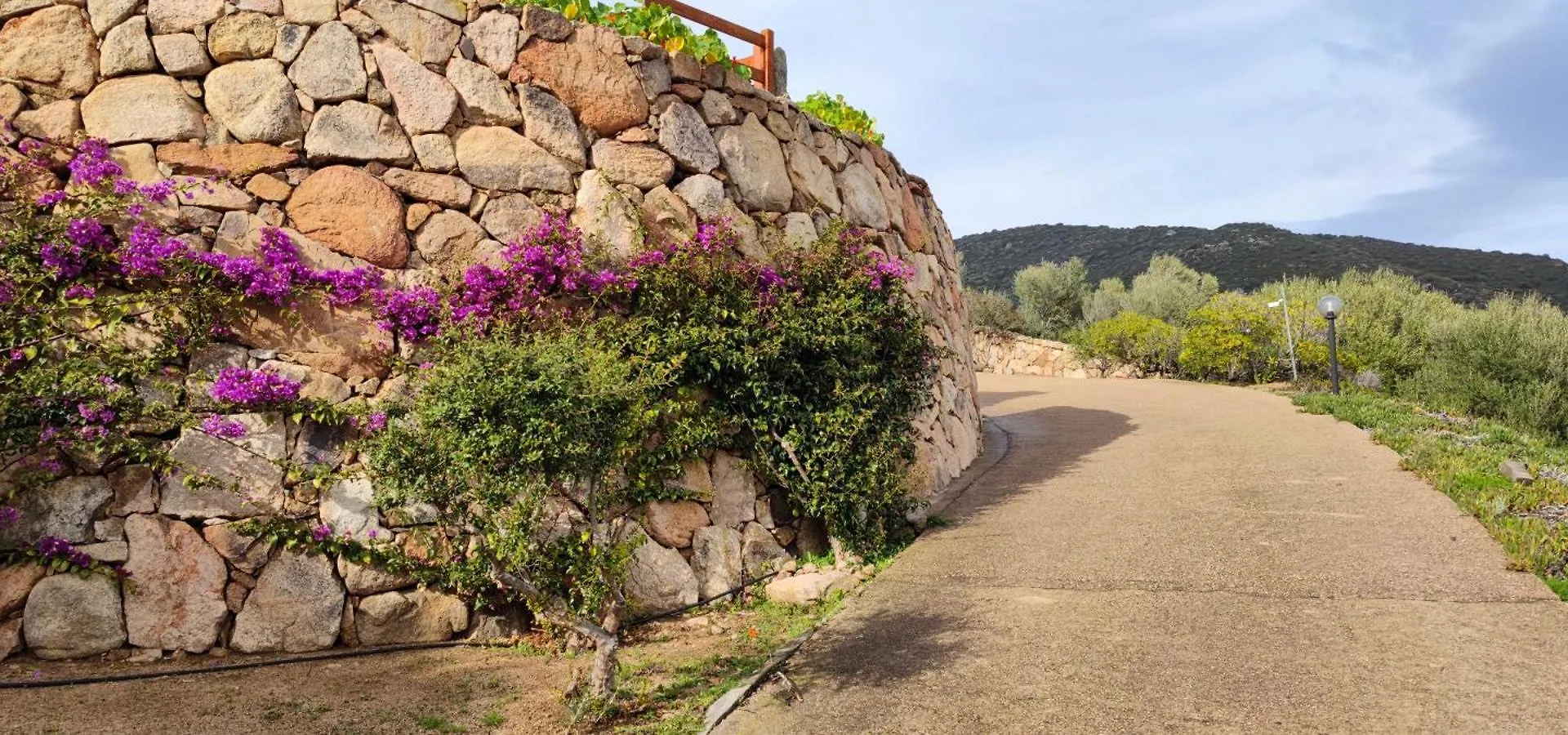 Villa San Vittore Sole Ruiu Italy